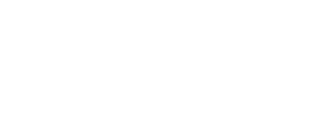 Synoptic IP